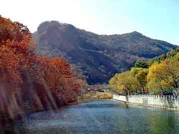 管家婆免费正版资起大全，宿松火灾